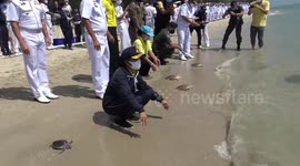 Turtles released into the sea to mark Queen of Thailand's birthday