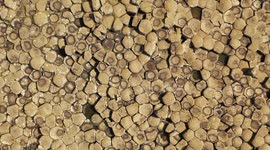 Drone Lift & Reveal of 50 Million Year Old Basalt Rocks at Giants Causeway - No tourists (Covid-19 Restrictions)