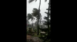 Nisarg cyclone has given severe damage to Konkan Coastals of india