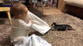 Little child plays with a puppy