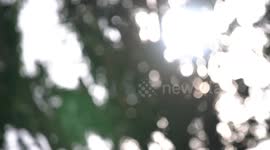 Bokeh I shoot this during our vacation!