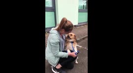 Rescue dogs jumps into adoptive mums lap before going to his forever home