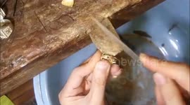 Vietnamese goldsmith created the beautiful dragon head ring
