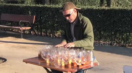 Street performer in Madrid plays Beethoven using crystal glasses
