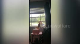 This cat really loves his human!