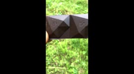 We feed the bear chocolate from the hands. vertical