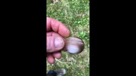 Animals Amazing little Cub bear scared grape snail.