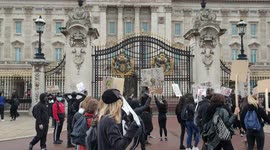 Black Lives Matter protesters demand for justice outside Buckingham Palace