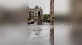Horrific moment runaway police horse knocks over bystander during London Black Lives Matter protest