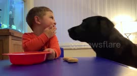 Dog and toddler try to resist treats in the viral snack challenge