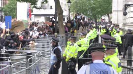 Bottles and liquids thrown at police as protester arrested outside Downing Street