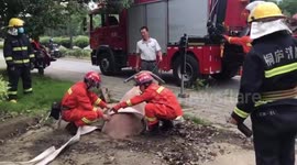 Chinese firefighters rescue buffalo trapped in manhole