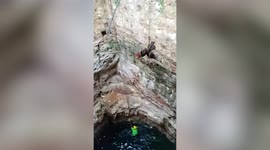Firefighters rescue peacock from 24-metre-deep well in southern India