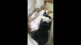 Mummy Cleans Naughty Boy Vs His Sister