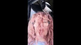 Publican paid a visit from friendly magpie on anniversary of her partner's death