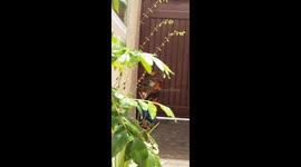 Sunny day with my lovely plant