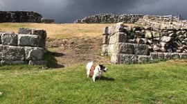 Geography teacher filmed incredibly rare roll cloud over Hadrian's Wall