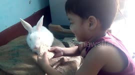 Rabbit my friend