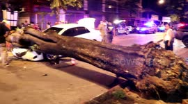 Thai couple have lucky escape after tree falls onto their car during storm