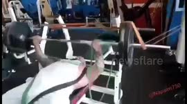 Gym time safety