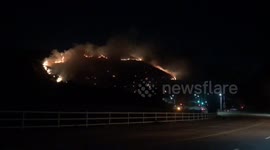 Brushfire burns through hillside in Los Angeles