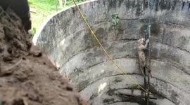 Forest officials use ladder to rescue leopard stranded in well in western India
