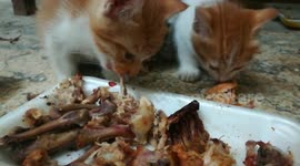 Hungry Triplets On Food Challenge