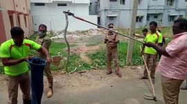 Firefighters rescue five-foot-long venomous cobra snake hiding inside shop in southern India