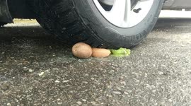 Ukrainian YouTuber creates ASMR by driving over various fruit and vegetables