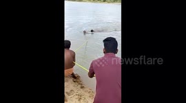 Group of brave villagers save drowning old woman in east India