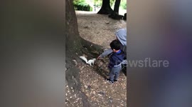 Video shows family feeding a rare albino squirrel by hand in a park