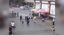 Brave elderly Chinese man trips suspect fleeing from police