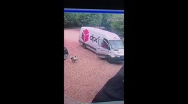 Hilarious moment delivery driver gets taunted by a pet turkey