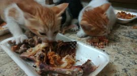 Triplets Do Mass Food Challenge