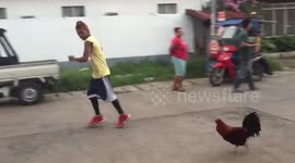 Neighbour races chicken every morning for exercise