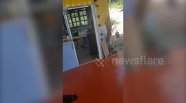 Cat cools off in front of electric fan during summer heat in Thailand