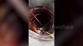 Firefighters rescue elderly man who fell into well trying to help a cat