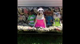 There’s always that one friend that has to stand out.