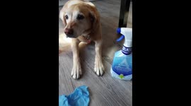 Bella has an important message
