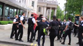 Police chase and stop a group of black men during 'Black Lives Matter' protest in London