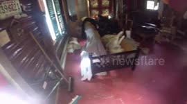 How Alaskan Malamutes Keep Cool in the Summer they conserve their energy by taking a siesta