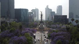 Vuelo en CDMX al Ángel de Independencia.