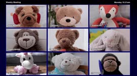 video of teddy bear video conference