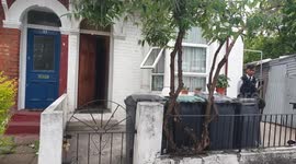 Murder investigation launched in north London after man stabbed to death at home