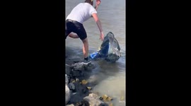 New Orleans protesters throw bust of slave owner into Mississippi River