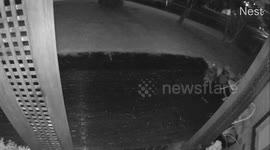 Drunk / High driver smashes into two cars and runs (Hit and run) caught on camera