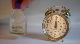 PhD student invents a way to print pictures onto Algae