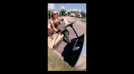 Louie the cat takes his owner and dog friend 'Nachos' for a spin through Southern California neighborhood