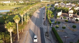 DJI MAVIC MINI ABOVE PALM TREES ON ROAD