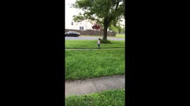 Pick your head up